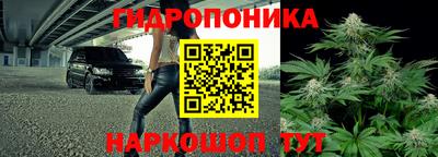 спайс Кинель