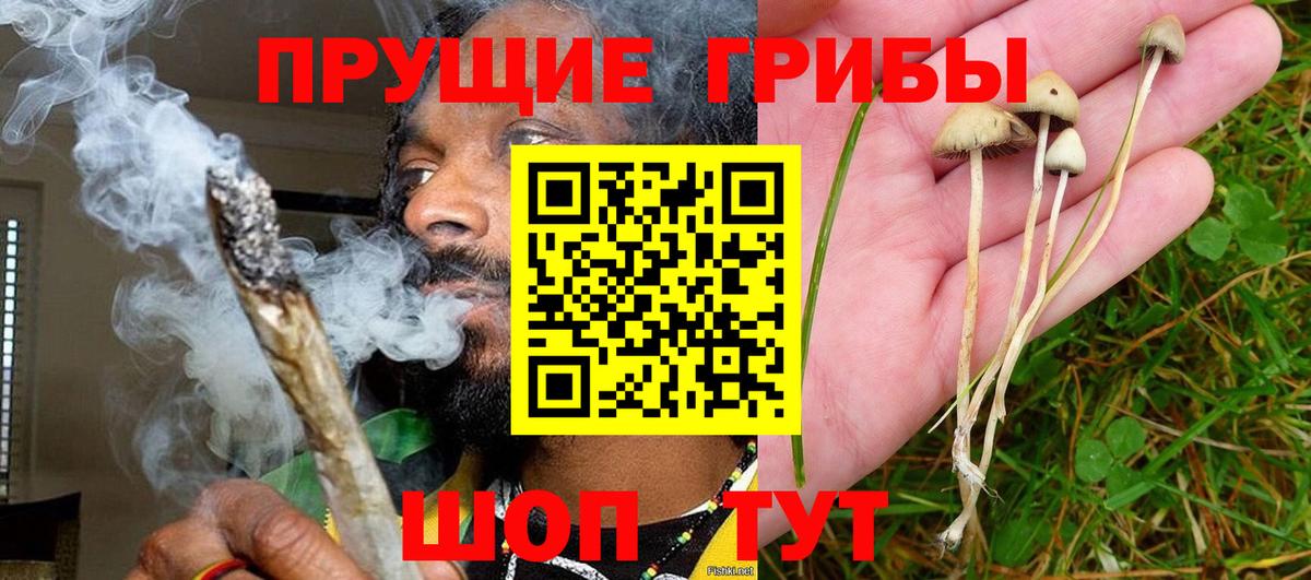 Галлюциногенные грибы GOLDEN TEACHER  Вход с VPN  Ульяновск 
